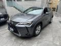 usato LEXUS UX 250h