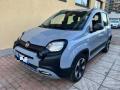 usato FIAT Panda Cross