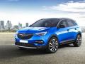 usato OPEL Grandland X