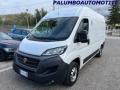 usato FIAT Ducato