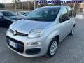 usato FIAT Panda