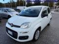 usato FIAT Panda