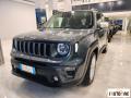 usato JEEP Renegade