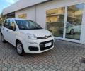 usato FIAT Panda