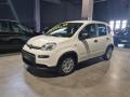 Km 0 FIAT Panda