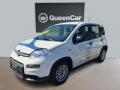 usato FIAT Panda