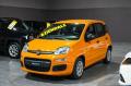 usato FIAT Panda