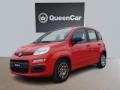 usato FIAT Panda