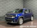 usato JEEP Renegade