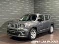 usato JEEP Renegade