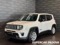 usato JEEP Renegade