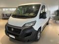 usato FIAT Ducato