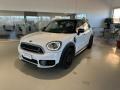 usato MINI Countryman