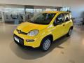 nuovo FIAT Panda