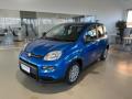 nuovo FIAT Panda