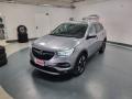 usato OPEL Grandland X