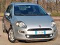 usato FIAT Punto