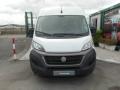 usato FIAT Ducato