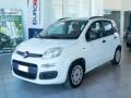 usato FIAT Panda