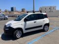 usato FIAT Panda Van 1.3 mjt Pop SeS 75cv 2p.ti E5+(E5)