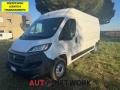 usato FIAT Ducato