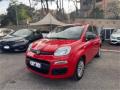 usato FIAT Panda