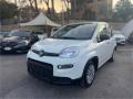 Km 0 FIAT Panda