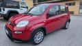 Km 0 FIAT Panda