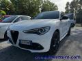 usato ALFA ROMEO Stelvio