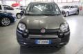 usato FIAT Panda