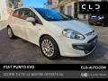 usato FIAT Punto Evo