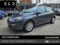 usato FIAT Punto