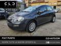 usato FIAT Punto