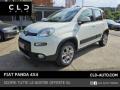 usato FIAT Panda