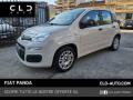 usato FIAT Panda