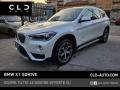 usato BMW X1