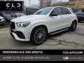 usato MERCEDES GLE 300