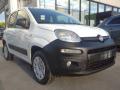 usato FIAT Panda