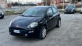 usato FIAT Punto