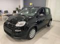 usato FIAT Panda