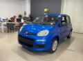 usato FIAT Panda