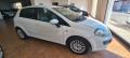 usato FIAT Punto