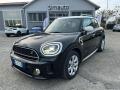 usato MINI Countryman