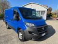 usato FIAT Ducato