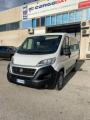 usato FIAT Ducato