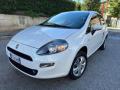 usato FIAT Punto