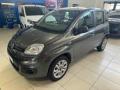 usato FIAT Panda