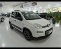 usato FIAT Panda