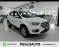 usato FORD Kuga