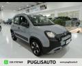 usato FIAT Panda Cross